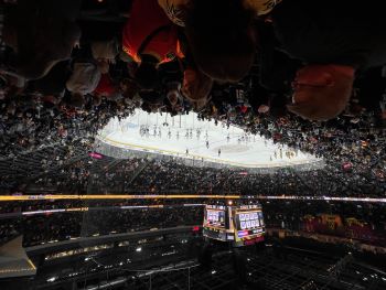 Leafs Knights Post-Game