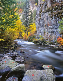 Logan River in autumn