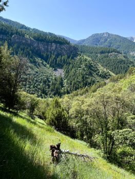 Logan Canyon From Below Wind Caves