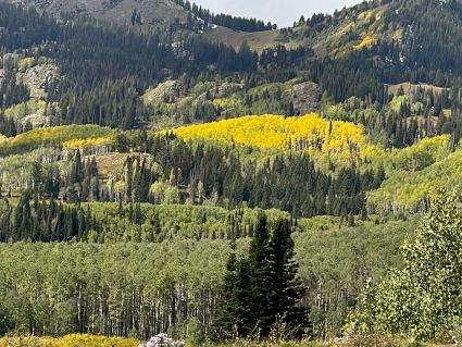 Fall Aspens Guardsman Pass