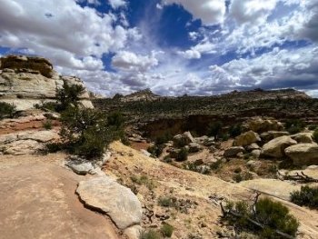 Hickman Bridge Trail Middle II