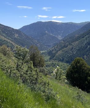 Logan Canyon From Wind Caves Trail