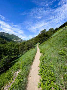 Trail To The Wind Caves